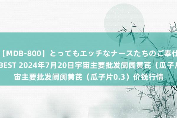 【MDB-800】とってもエッチなナースたちのご奉仕SEX 30人4時間BEST 2024年7月20日宇宙主要批发阛阓黄芪（瓜子片0.3）价钱行情