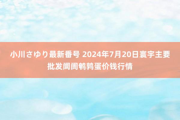 小川さゆり最新番号 2024年7月20日寰宇主要批发阛阓鹌鹑蛋价钱行情