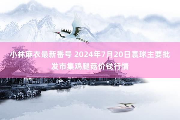 小林麻衣最新番号 2024年7月20日寰球主要批发市集鸡腿菇价钱行情