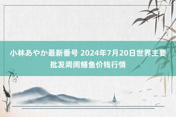 小林あやか最新番号 2024年7月20日世界主要批发阛阓鳝鱼价钱行情