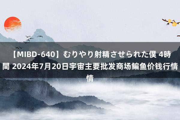 【MIBD-640】むりやり射精させられた僕 4時間 2024年7月20日宇宙主要批发商场鳊鱼价钱行情