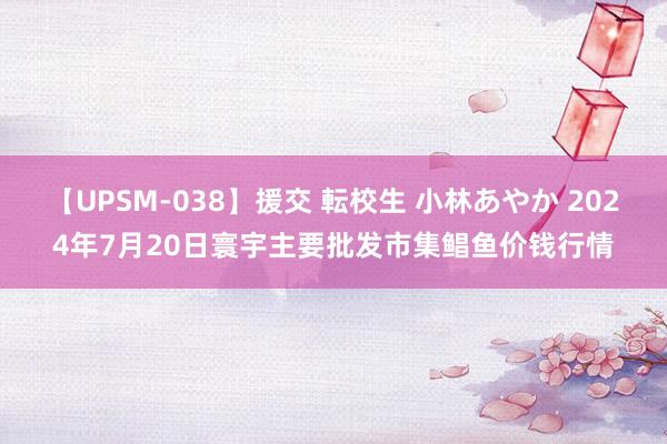 【UPSM-038】援交 転校生 小林あやか 2024年7月20日寰宇主要批发市集鲳鱼价钱行情