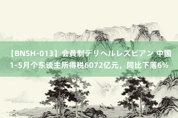 【BNSH-013】会員制デリヘルレズビアン 中国1-5月个东谈主所得税6072亿元，同比下落6%