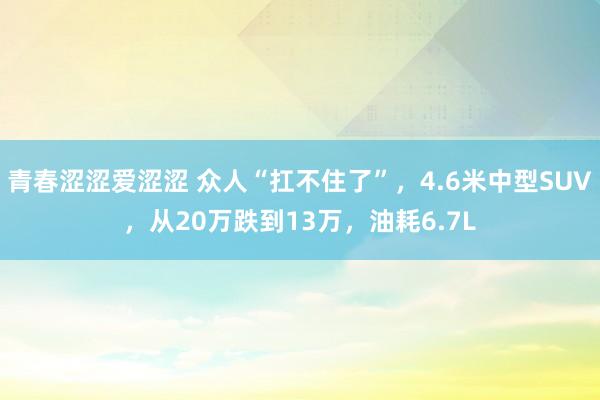 青春涩涩爱涩涩 众人“扛不住了”，4.6米中型SUV，从20万跌到13万，油耗6.7L