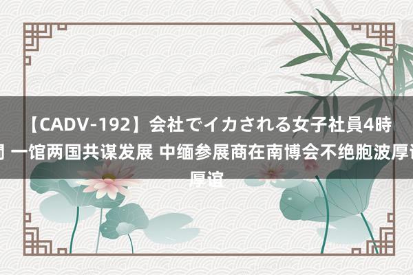 【CADV-192】会社でイカされる女子社員4時間 一馆两国共谋发展 中缅参展商在南博会不绝胞波厚谊