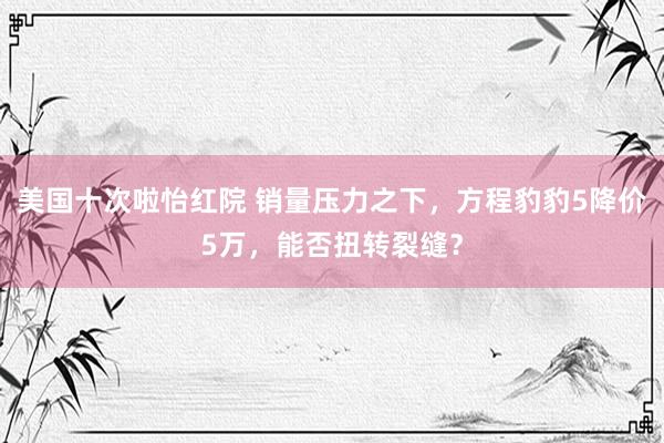 美国十次啦怡红院 销量压力之下，方程豹豹5降价5万，能否扭转裂缝？