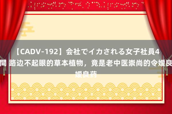 【CADV-192】会社でイカされる女子社員4時間 路边不起眼的草本植物，竟是老中医崇尚的令嫒良药