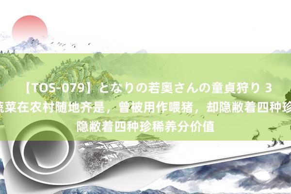 【TOS-079】となりの若奥さんの童貞狩り 3 美月 这种蔬菜在农村随地齐是，曾被用作喂猪，却隐敝着四种珍稀养分价值