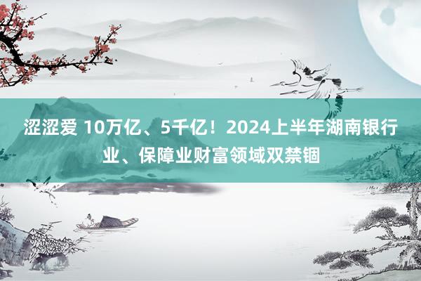 涩涩爱 10万亿、5千亿！2024上半年湖南银行业、保障业财富领域双禁锢