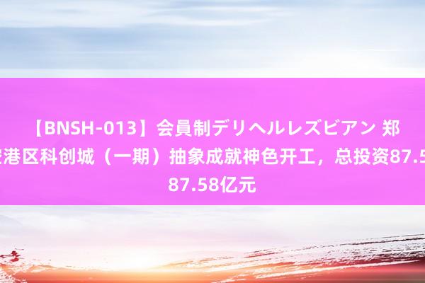 【BNSH-013】会員制デリヘルレズビアン 郑州航空港区科创城（一期）抽象成就神色开工，总投资87.58亿元