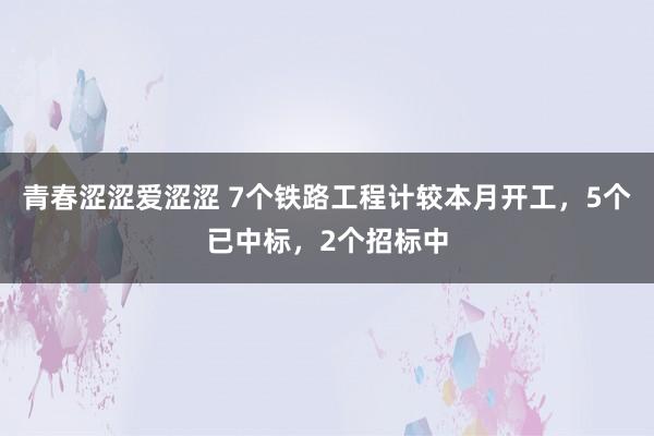 青春涩涩爱涩涩 7个铁路工程计较本月开工，5个已中标，2个招标中