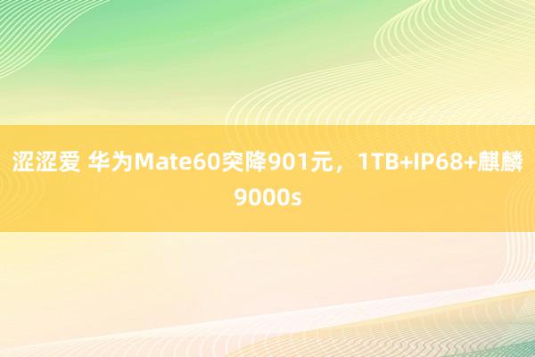 涩涩爱 华为Mate60突降901元，1TB+IP68+麒麟9000s