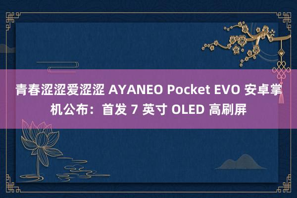 青春涩涩爱涩涩 AYANEO Pocket EVO 安卓掌机公布：首发 7 英寸 OLED 高刷屏