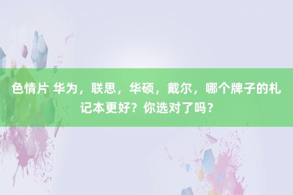 色情片 华为，联思，华硕，戴尔，哪个牌子的札记本更好？你选对了吗？