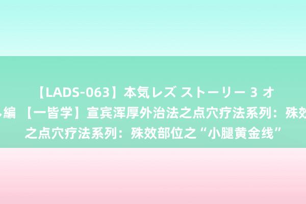 【LADS-063】本気レズ ストーリー 3 オンナだけの秘密の癒し編 【一皆学】宣宾浑厚外治法之点穴疗法系列：殊效部位之“小腿黄金线”