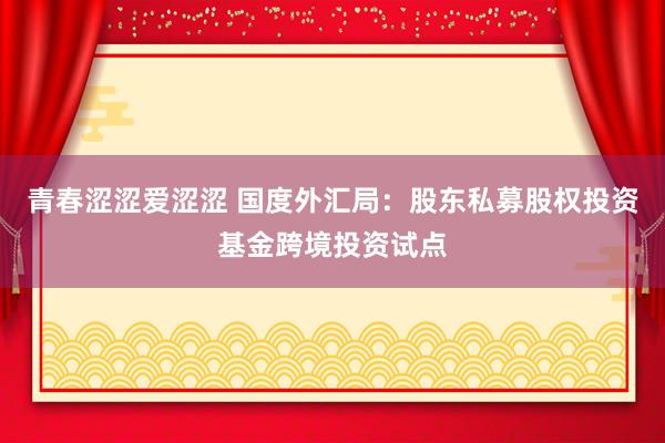 青春涩涩爱涩涩 国度外汇局：股东私募股权投资基金跨境投资试点