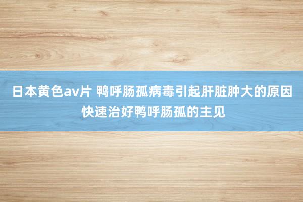 日本黄色av片 鸭呼肠孤病毒引起肝脏肿大的原因 快速治好鸭呼肠孤的主见