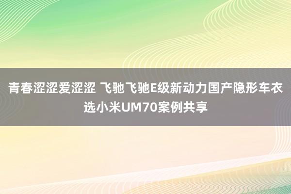 青春涩涩爱涩涩 飞驰飞驰E级新动力国产隐形车衣选小米UM70案例共享