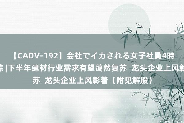 【CADV-192】会社でイカされる女子社員4時間 港股见解跟踪 |下半年建材行业需求有望蔼然复苏  龙头企业上风彰着（附见解股）