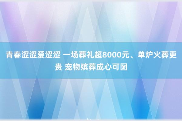 青春涩涩爱涩涩 一场葬礼超8000元、单炉火葬更贵 宠物殡葬成心可图