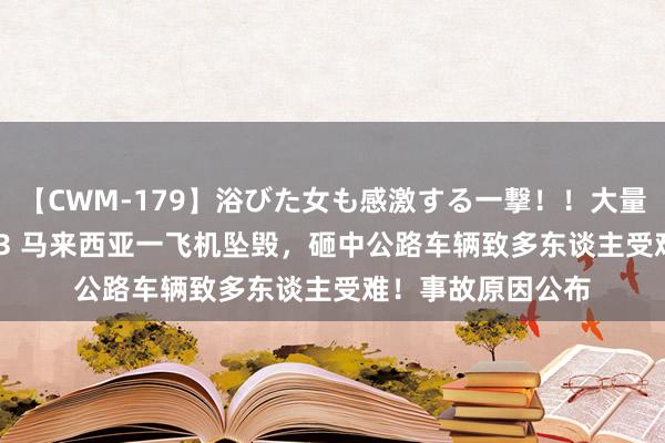 【CWM-179】浴びた女も感激する一撃！！大量顔射！！！ Part3 马来西亚一飞机坠毁，砸中公路车辆致多东谈主受难！事故原因公布