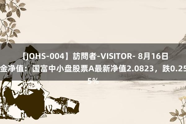 【JOHS-004】訪問者-VISITOR- 8月16日基金净值：国富中小盘股票A最新净值2.0823，跌0.25%