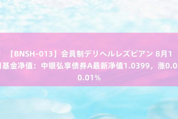 【BNSH-013】会員制デリヘルレズビアン 8月16日基金净值：中银弘享债券A最新净值1.0399，涨0.01%