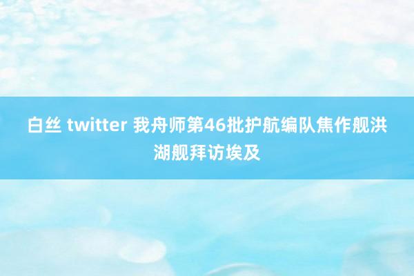 白丝 twitter 我舟师第46批护航编队焦作舰洪湖舰拜访埃及