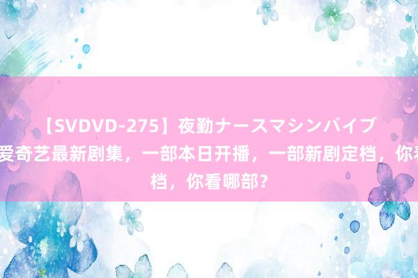 【SVDVD-275】夜勤ナースマシンバイブ 优酷、爱奇艺最新剧集，一部本日开播，一部新剧定档，你看哪部？