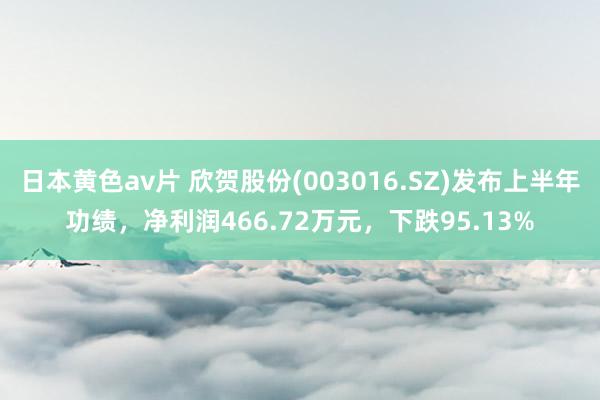 日本黄色av片 欣贺股份(003016.SZ)发布上半年功绩，净利润466.72万元，下跌95.13%