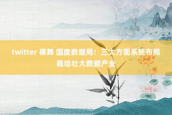 twitter 裸舞 国度数据局：三大方面系统布局栽培壮大数据产业