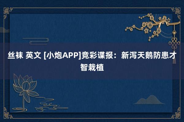 丝袜 英文 [小炮APP]竞彩谍报：新泻天鹅防患才智栽植