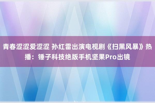 青春涩涩爱涩涩 孙红雷出演电视剧《扫黑风暴》热播：锤子科技绝版手机坚果Pro出镜