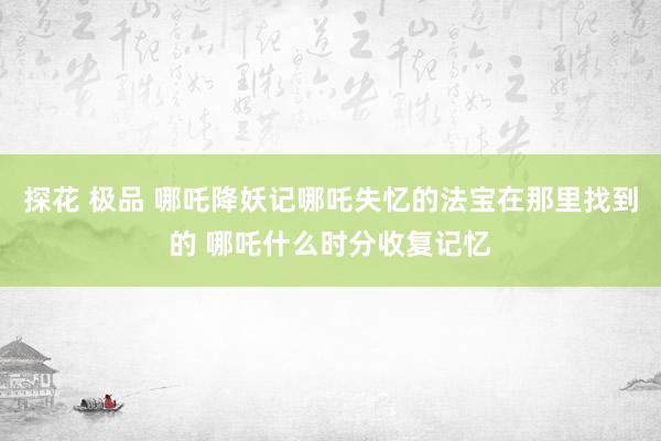 探花 极品 哪吒降妖记哪吒失忆的法宝在那里找到的 哪吒什么时分收复记忆