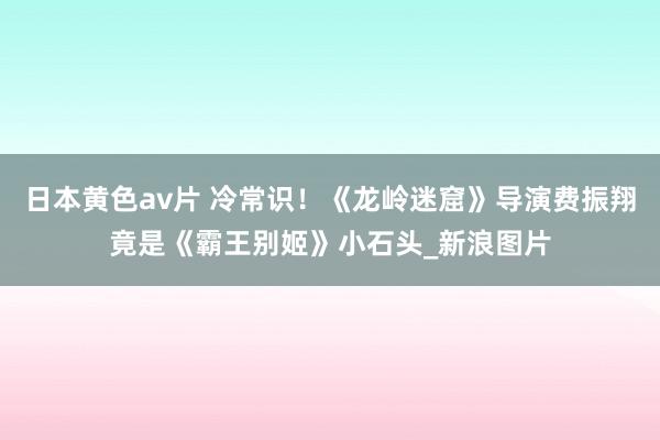 日本黄色av片 冷常识！《龙岭迷窟》导演费振翔竟是《霸王别姬》小石头_新浪图片