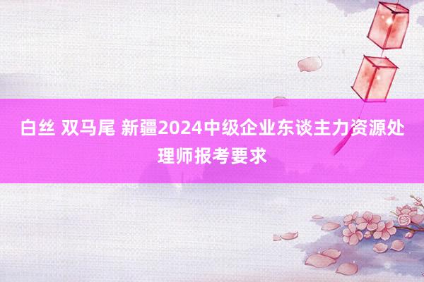 白丝 双马尾 新疆2024中级企业东谈主力资源处理师报考要求