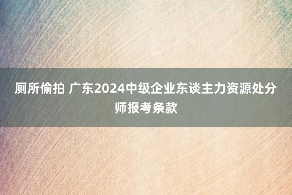 厕所偷拍 广东2024中级企业东谈主力资源处分师报考条款