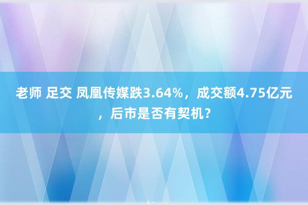 老师 足交 凤凰传媒跌3.64%，成交额4.75亿元，后市是否有契机？